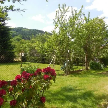 Maison De Caractere Avec Jardin, Terrasse Et Equipements Pour Grandes Familles Au Val-d'ajol - Fr-1-589-169 Holiday home