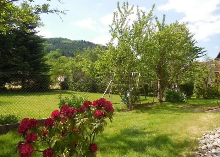 Maison De Caractere Avec Jardin, Terrasse Et Equipements Pour Grandes Familles Au Val-d'ajol - Fr-1-589-169 Prázdninový dům