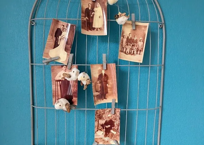 Maison De Caractere Avec Jardin, Terrasse Et Equipements Pour Grandes Familles Au Val-d'ajol - Fr-1-589-169 * Le Val-dʼAjol